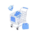 Shopping Ads – Produktsichtbarkeit bei Google Shopping und Amazon WebXpert Solutions